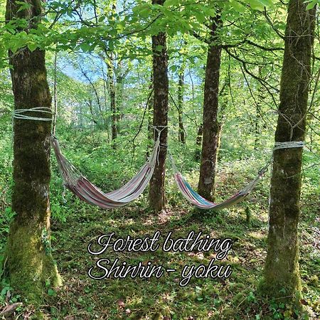 Serenite Verte A La Tuilerie Accommodation La Bazeuge Kültér fotó