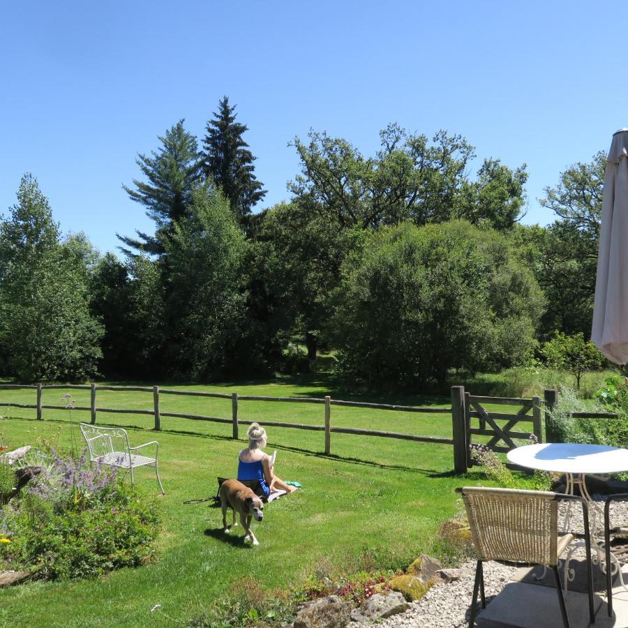 Serenite Verte A La Tuilerie Accommodation La Bazeuge Kültér fotó