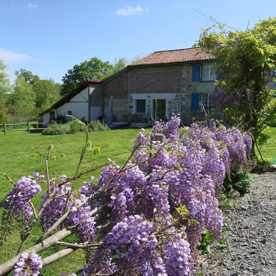 Serenite Verte A La Tuilerie Accommodation La Bazeuge Kültér fotó