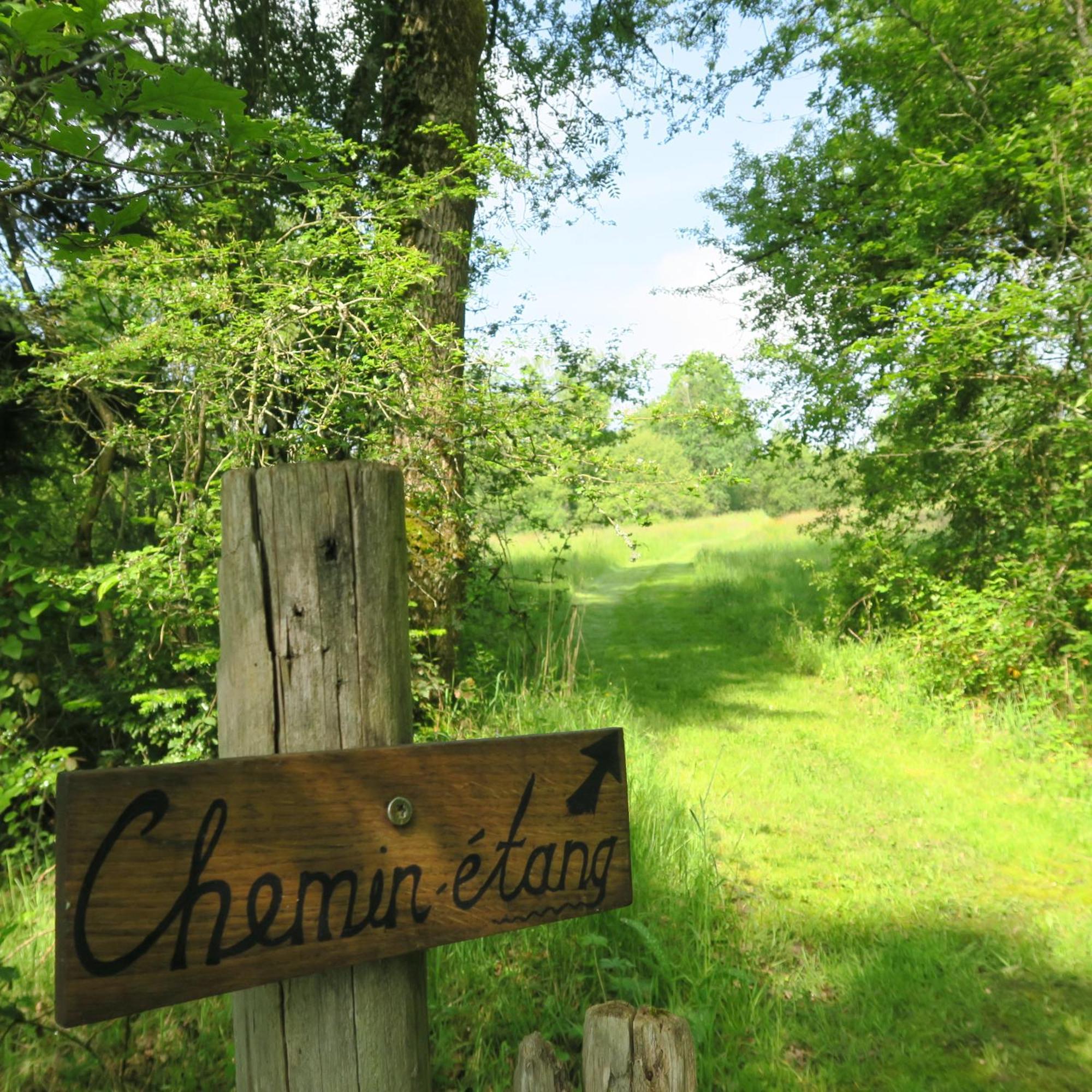 Serenite Verte A La Tuilerie Accommodation La Bazeuge Kültér fotó