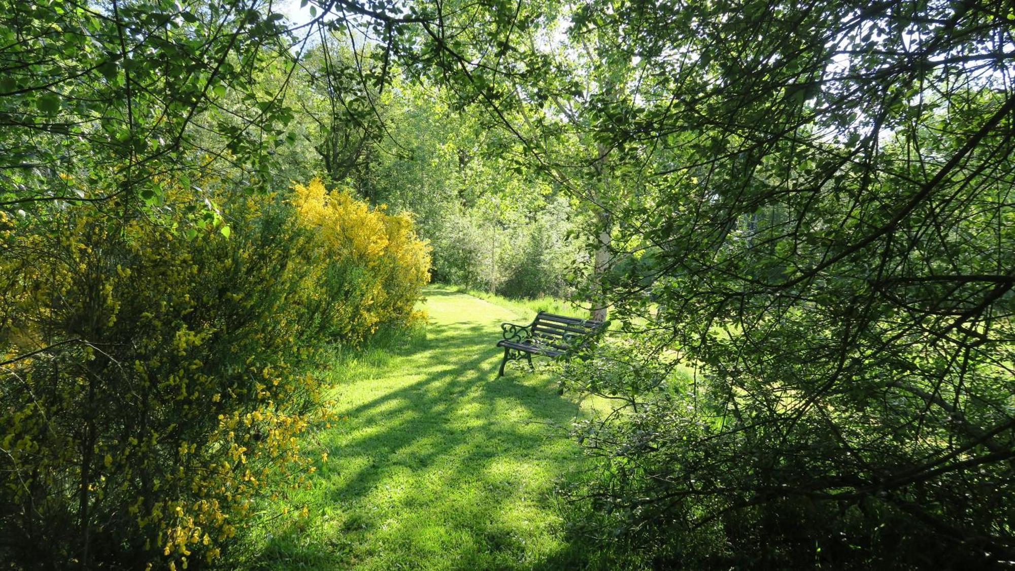 Serenite Verte A La Tuilerie Accommodation La Bazeuge Kültér fotó