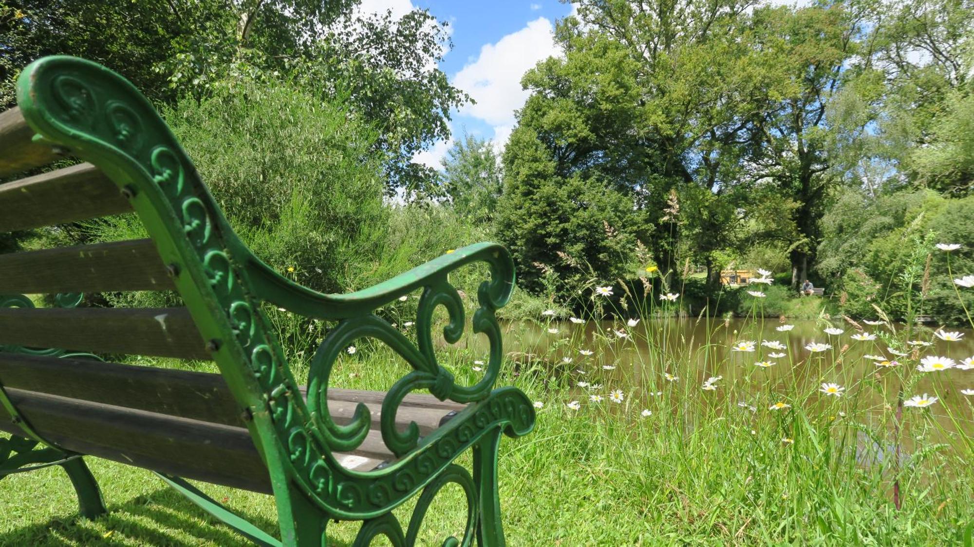 Serenite Verte A La Tuilerie Accommodation La Bazeuge Kültér fotó