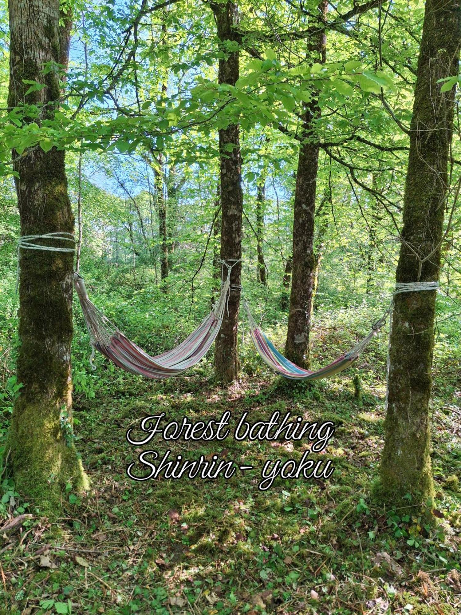 Serenite Verte A La Tuilerie Accommodation La Bazeuge Kültér fotó